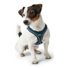 Arnés para Perro Hunter Hilo-Comfort Azul XS/S (37-42 cm)