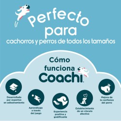 Juguete de adiestramiento Coachi Stick Azul