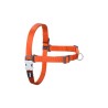 Arnés para Perro Red Dingo 84-119 cm Naranja XL