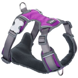 Arnés para Perro Red Dingo Dingo 30-47 cm 37-52 cm Morado S