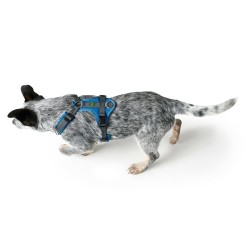 Arnés para Perro Hunter Maldon Up Azul 31-49 cm