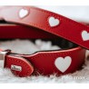 Collar para Perro Hunter Love S/M 35-40 cm Rojo/Blanco