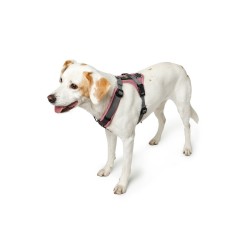 Arnés para Perro Hunter Maldon Up Rosa 57-98 cm