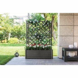 Macetero Stefanplast 80036 Moka 100 x 43 x 142 cm Rectangular