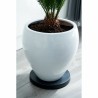 Soporte con Ruedas para Macetas Nature Negro Polipropileno (Ø 29,2 x 4 cm)