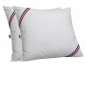 Set de 2 Almohadas DODO Blanco 60 x 60 cm (2 Unidades)