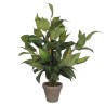 Planta Decorativa Mica Decorations Hosta Verde PVC (15,5 x 65 cm)