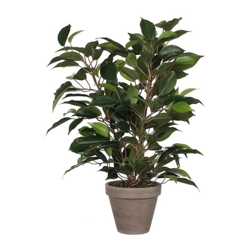 Planta Decorativa Mica Decorations 40 x 30 cm Cerámica Verde PVC Ficus