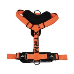 Arnés para Mascotas Nayeco x-trm 35-60 x 1,5 cm Naranja