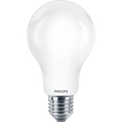 Bombilla LED Philips D 120...