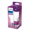 Bombilla LED Philips D 120 W 13 W E27 2000 Lm 7 x 12 cm (6500 K)