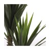 Planta Decorativa Mica Decorations Yucca (120 x 60 cm)