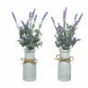 Planta Decorativa Everlands Maceta Lavanda (Ø 13 x 32 cm)