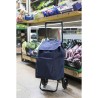 Carro de Compra Gimi Argo 37 x 33 x 95,5 Azul 45 L