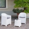 Conjunto de Mesa con 2 Sillones IPAE Progarden Luna sluc06bg Blanco Jardín (3 Piezas)