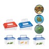 Caja para insectos Lifetime