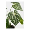 Planta Decorativa Mica Decorations Caladium Ø 21 x 28 cm Artificial