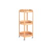 Organizador Multiusos DKD Home Decor Bambu00fa Acero Inoxidable 43,6 x 43,6 x 90,5 cm