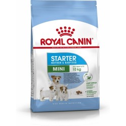 Pienso Royal Canin Starter...