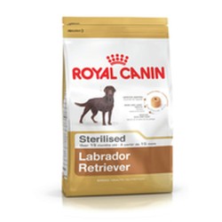 Pienso Royal Canin Labrador...