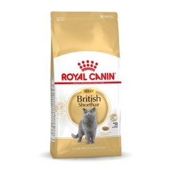 Comida para gato Royal...