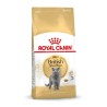 Comida para gato Royal Canin British Shorthair Adult Adulto 4 Kg