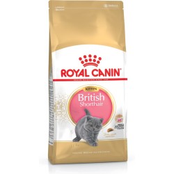 Comida para gato Royal Canin British Shorthair Kitten Pollo Arroz Vegetal Aves 2 Kg