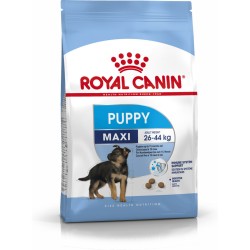 Pienso Royal Canin Maxi...