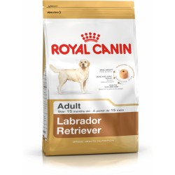 Pienso Royal Canin Labrador...