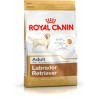 Pienso Royal Canin Labrador Retriever Adult 12 kg Adulto Arroz Aves 20-40 Kg