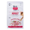 Comida para gato Brit Care Grain Free Activity Support Adult Adulto Pollo Pavo 400 g