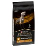 Pienso Purina Renal 12 kg Adulto Carne