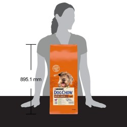 Pienso Purina Dog Chow Mature Senior Senior Cordero 14 Kg