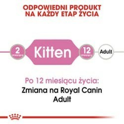 Comida para gato Royal Canin Kitten Jelly Pollo 85 g