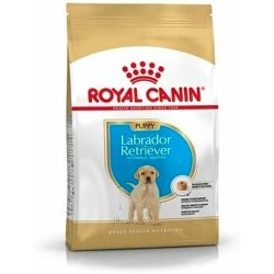 Pienso Royal Canin...