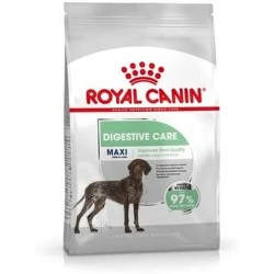 Pienso Royal Canin Adulto...