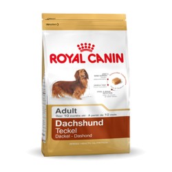 Pienso Royal Canin...