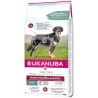 Pienso Eukanuba Daily Care Adulto Salmón 12 kg