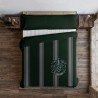 Funda Nórdica Harry Potter Slytherin 220 x 220 cm Cama de 135/140