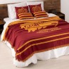 Manta Harry Potter Gryffindor Values 130 x 170 cm 130 x 2 x 170 cm