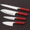 Set de Cuchillos Cecotec Santoku (4 pcs)