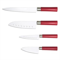 Set de Cuchillos Cecotec Santoku (4 pcs)