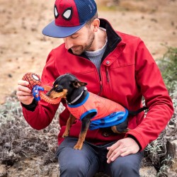 Juguete para perros Spider-Man  Rojo 100 % poliéster