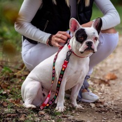 Correa para Perro Marvel Rojo