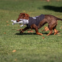 Chaqueta para Perro Star Wars Gris