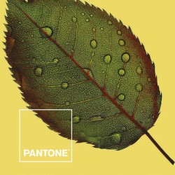 Colcha Nature Pantone