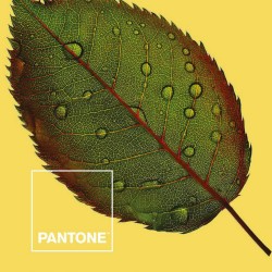 Juego de Sábanas Nature Pantone