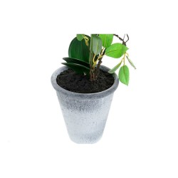 Planta Decorativa DKD Home Decor Gres Orquídea 21 x 21 x 82 cm (2 Unidades) (12 Unidades)