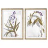 Cuadro DKD Home Decor 50 x 2 x 70 cm Moderno Plantas botánicas (2 Unidades)