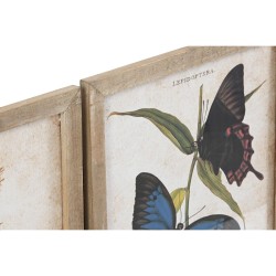 Cuadro DKD Home Decor Mariposas 40 x 2 x 50 cm Shabby Chic (4 Piezas)